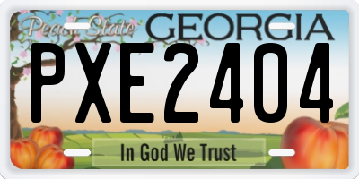 GA license plate PXE2404