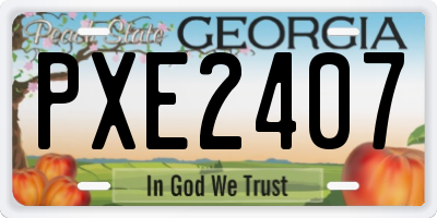GA license plate PXE2407