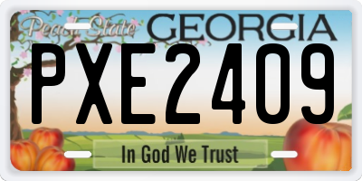 GA license plate PXE2409