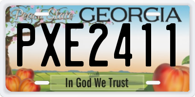 GA license plate PXE2411