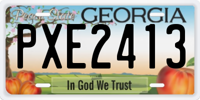 GA license plate PXE2413