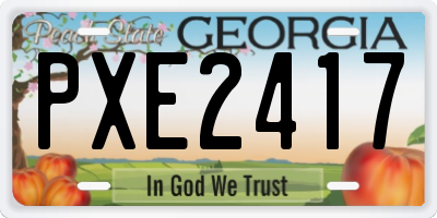 GA license plate PXE2417