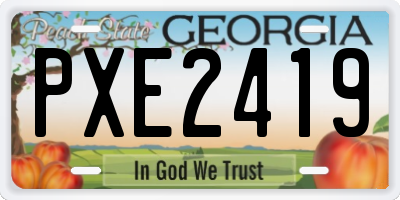 GA license plate PXE2419