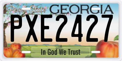 GA license plate PXE2427
