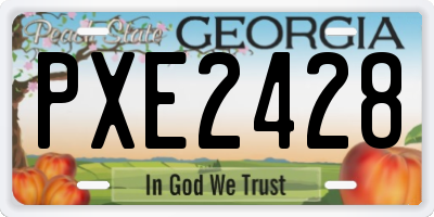 GA license plate PXE2428