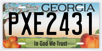 GA license plate PXE2431