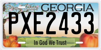 GA license plate PXE2433