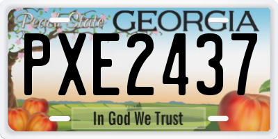 GA license plate PXE2437