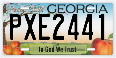 GA license plate PXE2441