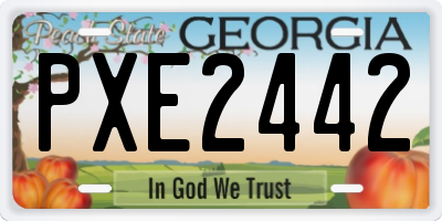 GA license plate PXE2442