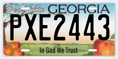 GA license plate PXE2443