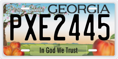 GA license plate PXE2445