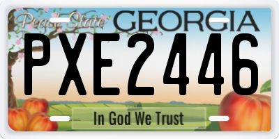 GA license plate PXE2446