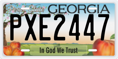 GA license plate PXE2447