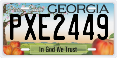 GA license plate PXE2449