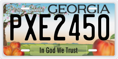 GA license plate PXE2450