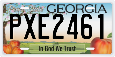 GA license plate PXE2461