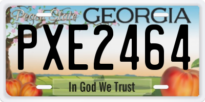 GA license plate PXE2464