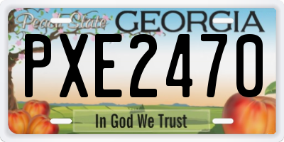 GA license plate PXE2470