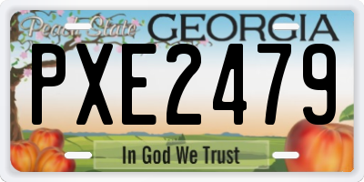 GA license plate PXE2479