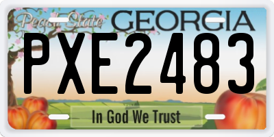 GA license plate PXE2483