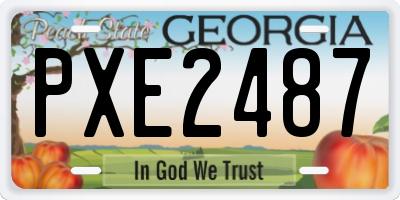GA license plate PXE2487