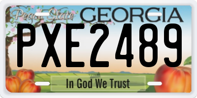 GA license plate PXE2489