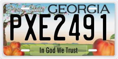GA license plate PXE2491