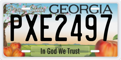 GA license plate PXE2497