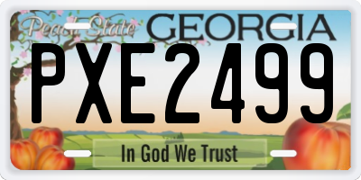 GA license plate PXE2499