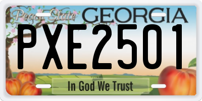 GA license plate PXE2501