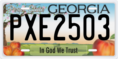 GA license plate PXE2503