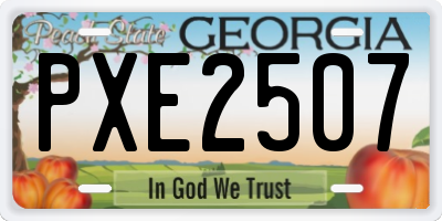GA license plate PXE2507