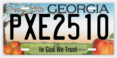 GA license plate PXE2510