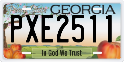 GA license plate PXE2511