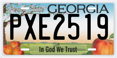 GA license plate PXE2519