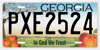 GA license plate PXE2524