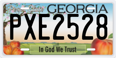 GA license plate PXE2528