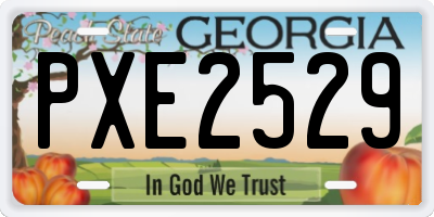 GA license plate PXE2529