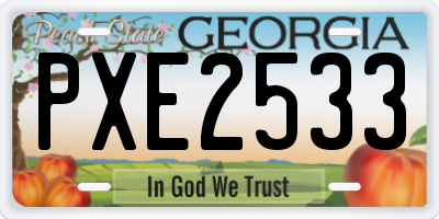 GA license plate PXE2533