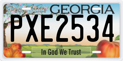 GA license plate PXE2534