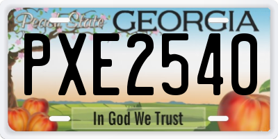 GA license plate PXE2540