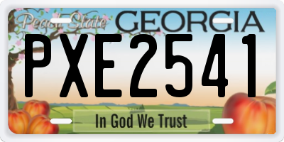 GA license plate PXE2541
