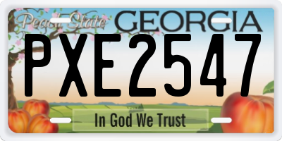 GA license plate PXE2547