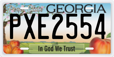 GA license plate PXE2554