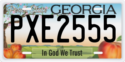 GA license plate PXE2555