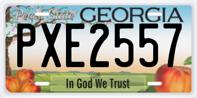 GA license plate PXE2557