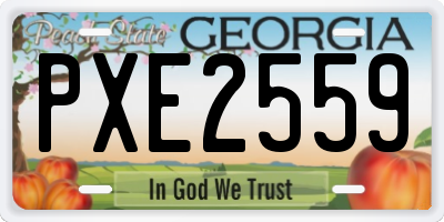 GA license plate PXE2559