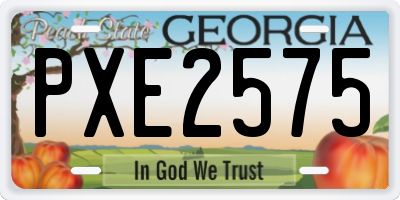 GA license plate PXE2575