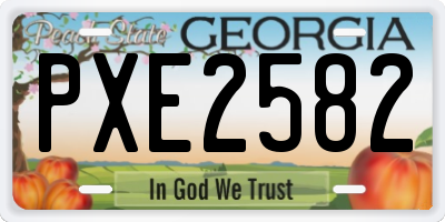 GA license plate PXE2582